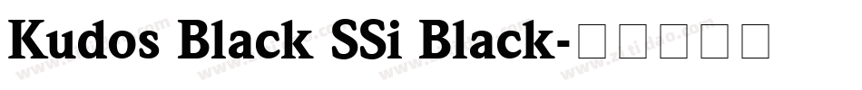 Kudos Black SSi Black字体转换